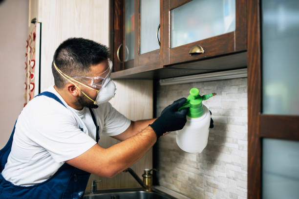 Best Cockroach Control Services  in Oak Trail Shores, TX