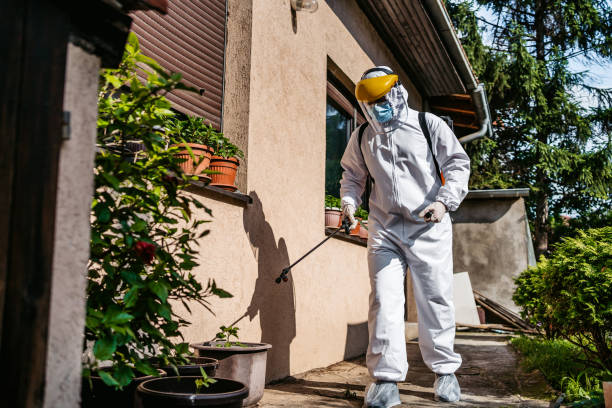 Best Local Pest Control Services  in Oak Trail Shores, TX