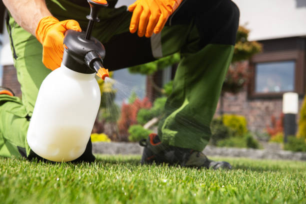 Pest Control for Restaurants in Oak Trail Shores, TX