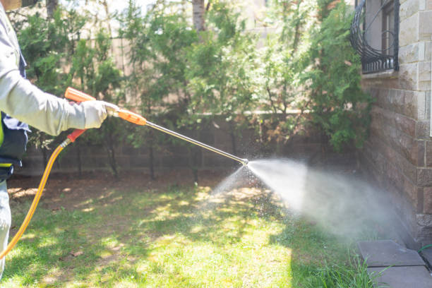Best Residential Pest Control  in Oak Trail Shores, TX